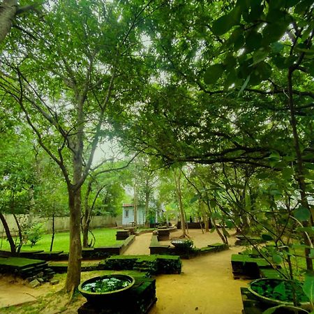 Twin Blocks Nature Resort アヌラーダプラ エクステリア 写真