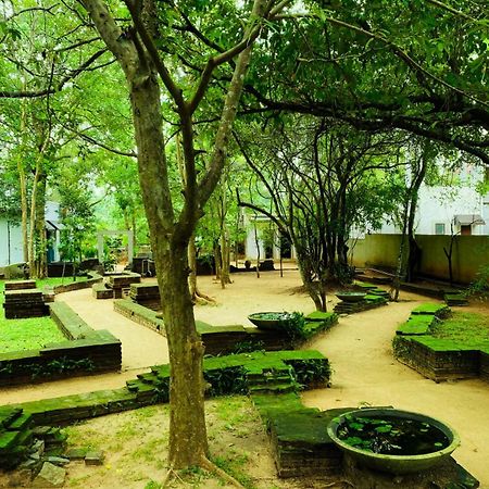 Twin Blocks Nature Resort アヌラーダプラ エクステリア 写真