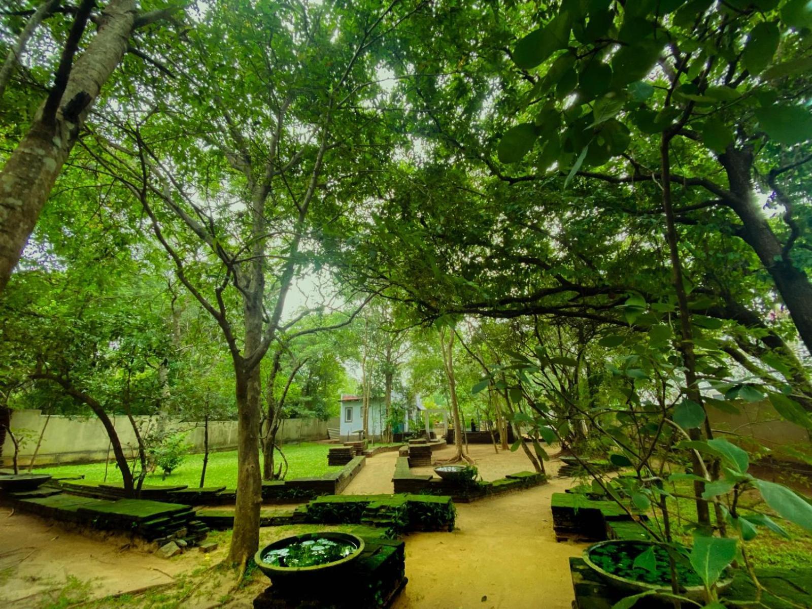 Twin Blocks Nature Resort アヌラーダプラ エクステリア 写真