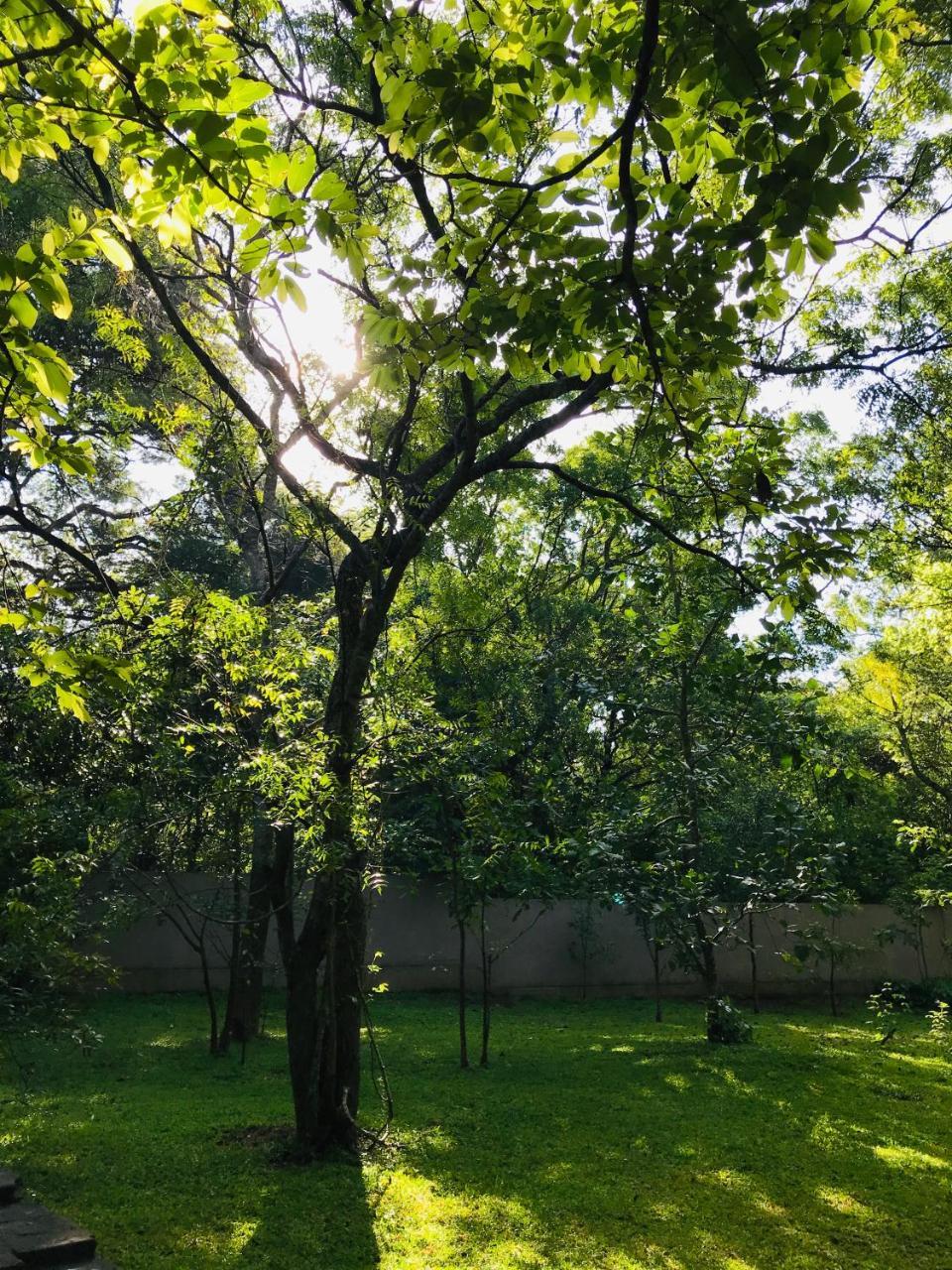 Twin Blocks Nature Resort アヌラーダプラ エクステリア 写真